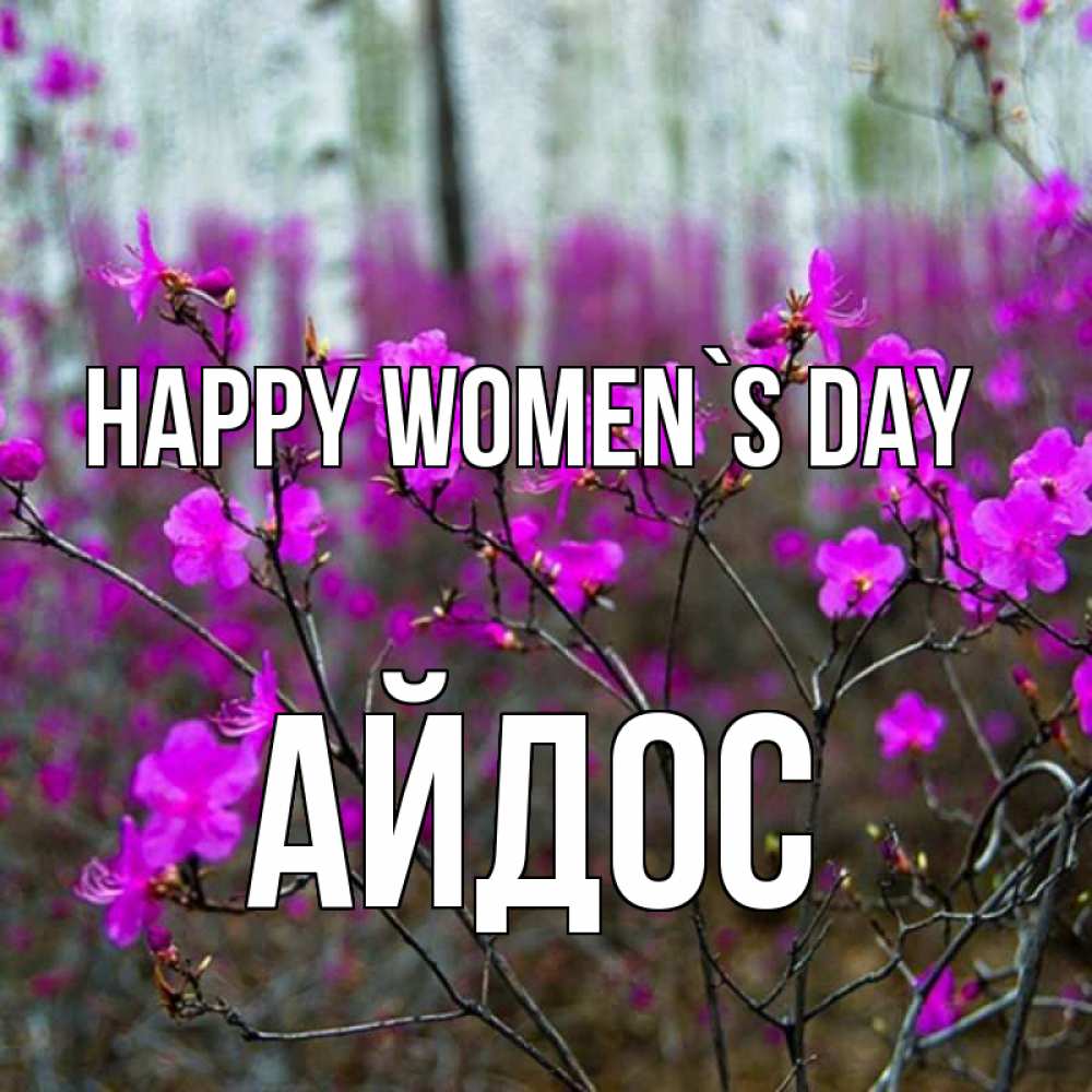 Greetings card с именем, Айдос happy women`s day дикие цветы Greetings with text for free download 